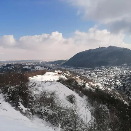Uno - Gardens With View Brasov
